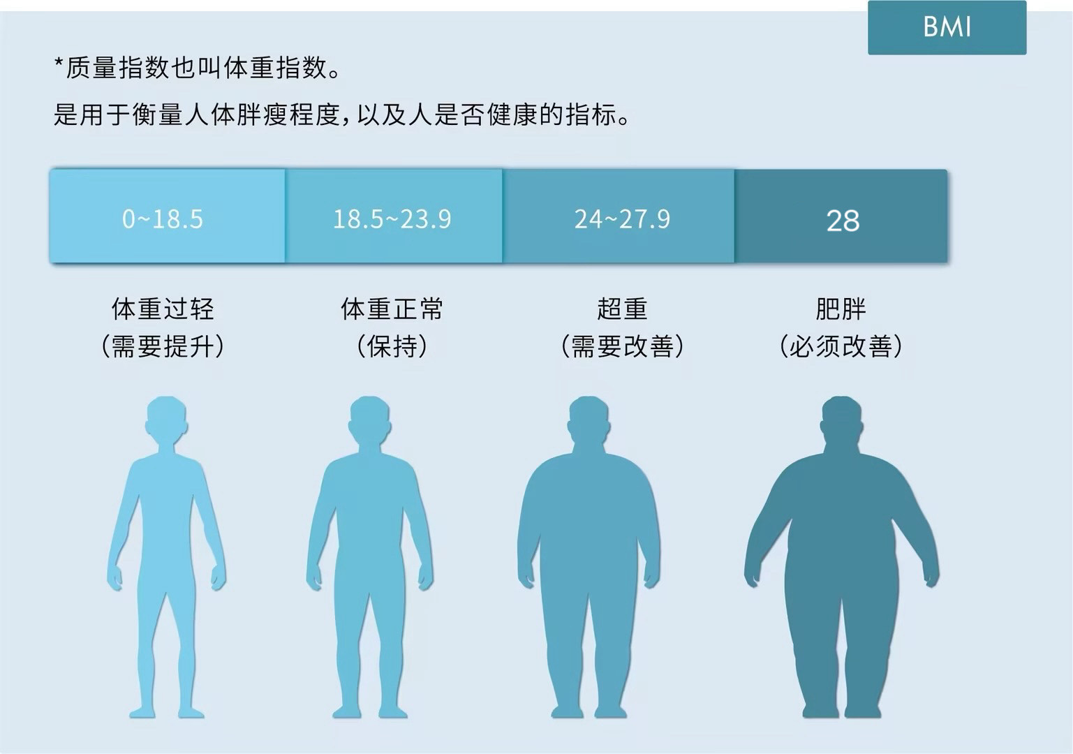 不同bmi照片图片