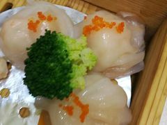 -顺悦酒家(嘉信城市广场店)