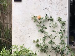 -云里小坐·小院里·团建·宴请·下午茶(三圣乡店)