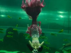 -苏州海洋馆