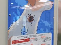 -北京观赏动物医院·24小时大型综合·猫专科·异宠专科