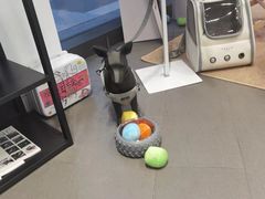 -TESLA 特斯拉(上海太古汇体验店)