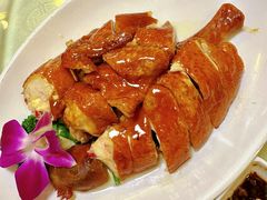 -津津菜馆(绝没分店)