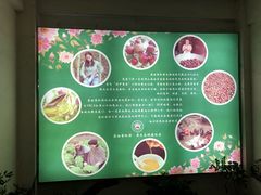 -茶油香闽南菜·花园餐厅(前埔店)