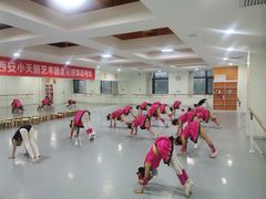 -西安小天鹅艺术团(金花路校区)