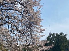 -红星桥(地铁站)