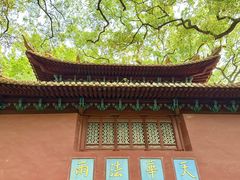 -普陀山风景名胜区-法雨禅寺