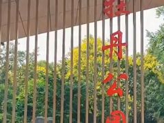 -洛阳市牡丹公园