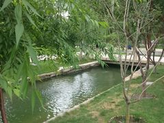 -春风习习