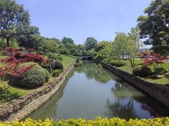 -羊山湖公园
