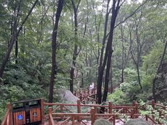 -大岭沟猕猴桃谷风景区