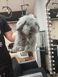 -Nice hair salon奈斯工作室