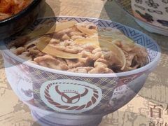 -吉野家(红博中央公园店)