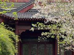 -堤角公园