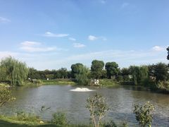 -鹅湖玫瑰文化园
