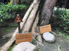 -乌镇东栅景区-江南百床馆