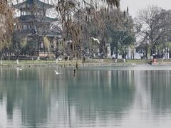 -东湖听涛景区