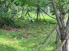 -福建鲤鱼洲酒店