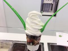 -Salud撒露欧洲冻酸奶(蓝色港湾店)