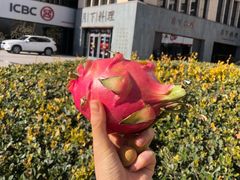 -月下料理(楷林IFC店)