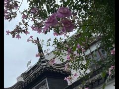 -三林塘老街
