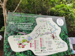 -野象谷景区