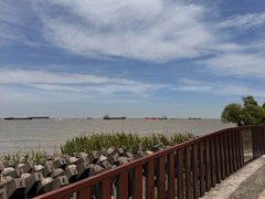 -上海滨江森林公园