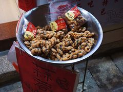 蒜蓉枝-海丝金凤(金鱼店)