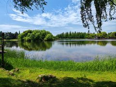 -尚湖风景区