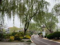 -济南国际园博园