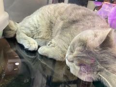 -凯德广场(学府店)