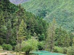 -黄龙山原始森林景区