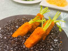 -丁老爷子苏香圆