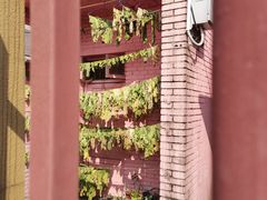 -石井坡(地铁站)