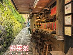 -杨家堂村
