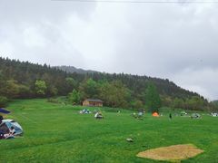 -武陵山森林公园