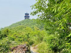 -杭州半山国家森林公园