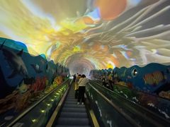 -成都浩海立方海洋公园