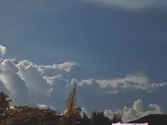 -采悦轩中餐厅·粤菜·海南菜(神州半岛喜来登度假酒店)