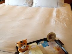 -惠州康帝国际酒店