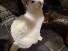 -张记牛肉面馆(天津路店)