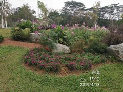 -东莞植物园