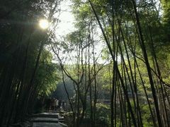 android_upload_pic-穹窿山景区