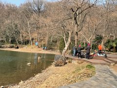 -紫霞湖公园