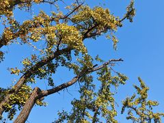 -上海市保健医疗中心