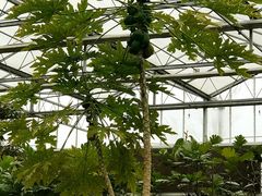 -南通洲际绿博园