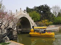 -团结湖公园