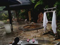 -佛山市三水温泉度假村
