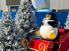 -汕头中海黄金海岸水上乐园