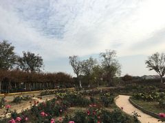 -武汉紫薇都市田园